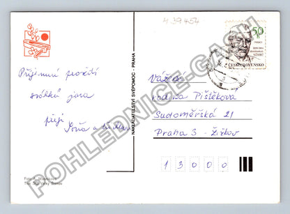 Pohlednice Velikonoční vejce a větvička s květy (M39454)