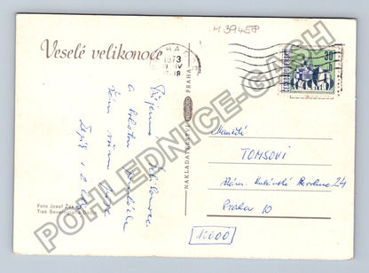 Pohlednice Velikonoční motiv kraslice narcisy 1973 (M39458)