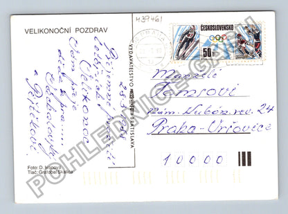 Pohlednice Velikonoční pozdrav pomlázka vejce větvička (M39461)