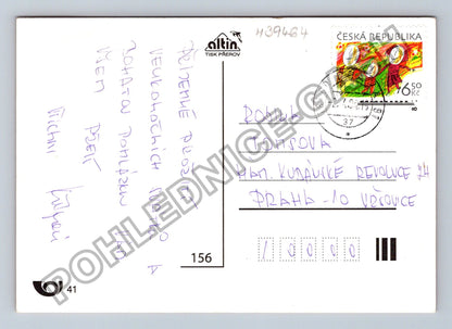 Pohlednice Velikonoce kuřátko vajíčka dřevo květiny (M39464)