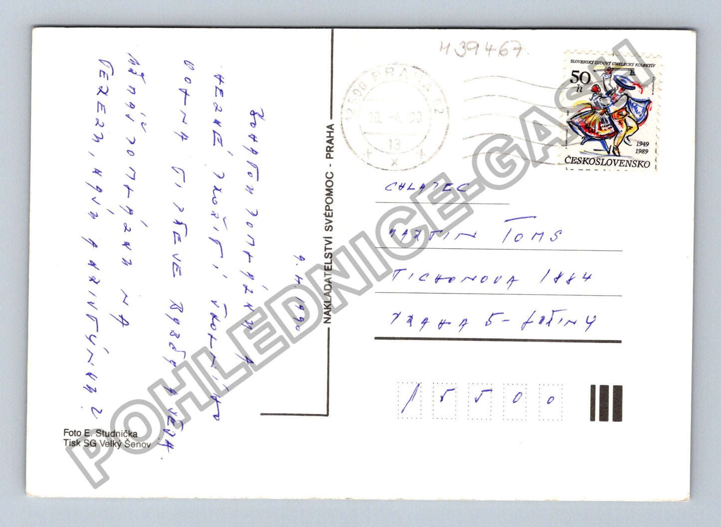 Pohlednice housata na trávě (M39467)