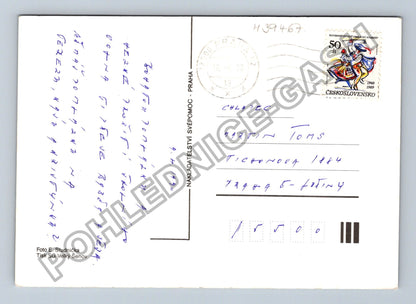 Pohlednice housata na trávě (M39467)