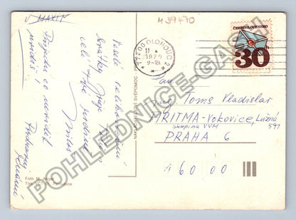 Pohlednice Velikonoce květiny kraslice 1979 (M39470)
