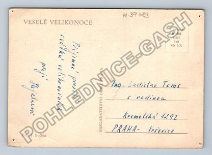 Pohlednice Velikonoce loutky beránek zvířátka (M39483)