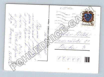 Pohlednice Novoroční sněhulák se snítkou a mašlí (M39486)