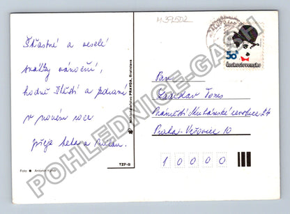 Pohlednice Vánoční zátiší svícen jmelí ovoce 1977 (M39502)