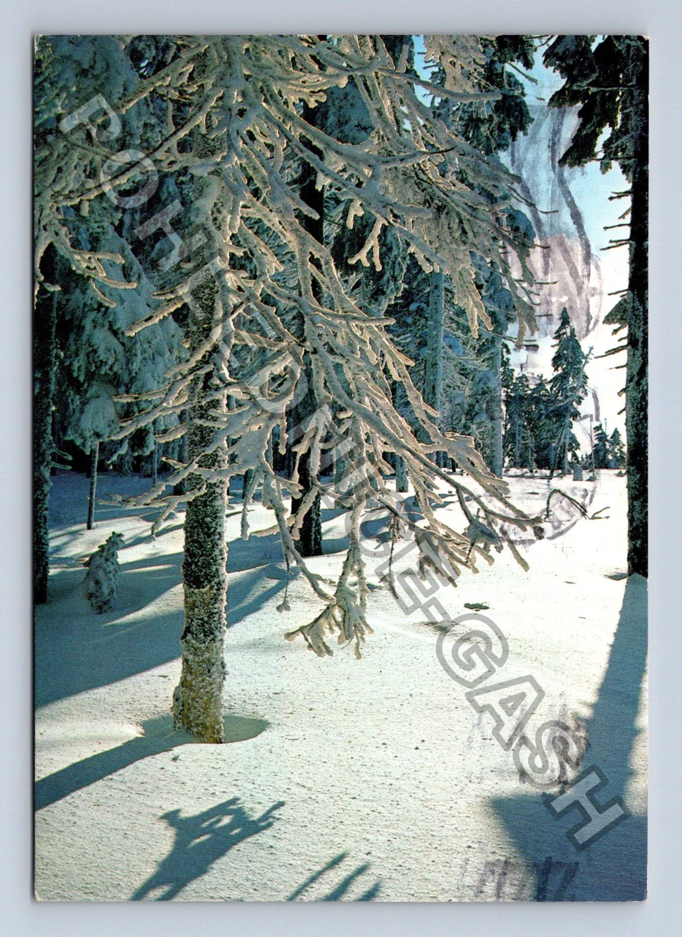 Pohlednice Zimní krajina zasněžené větve 1978 (M39534)