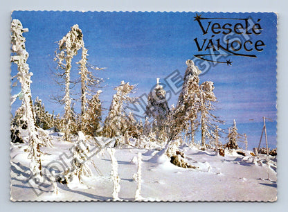 Pohlednice Veselé Vánoce zasněžené stromy 1977 (M39535)
