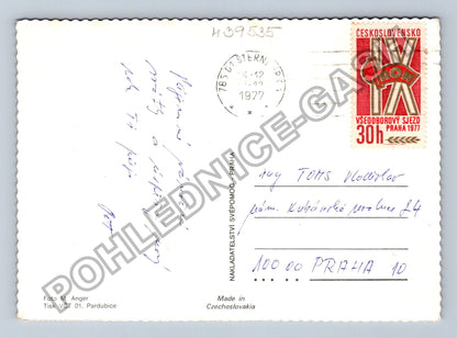 Pohlednice Veselé Vánoce zasněžené stromy 1977 (M39535)
