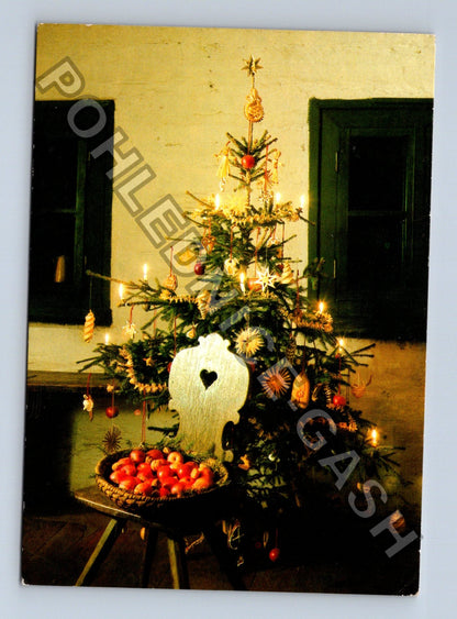 Pohlednice Vánoční stromeček a jablka 1995 (M39541)