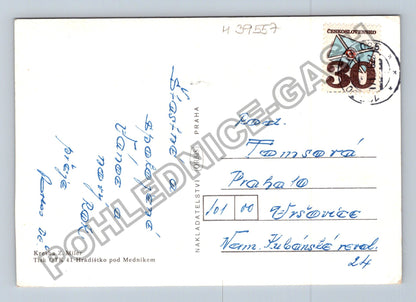 Pohlednice Zdeněk Miler holčička krmí ptáčky v zimě (M39557)