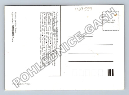 Pohlednice Ferdinand Georg Waldmüller Podobizna kupce (M39559)