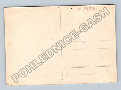 Pohlednice Řeka s odrazem stromů a kachnou (M39570)