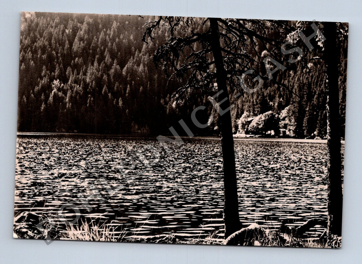 Pohlednice Šumava Černé jezero 1008 m 1967 (M39596)