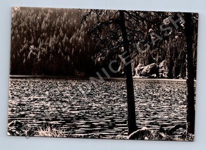 Pohlednice Šumava Černé jezero 1008 m 1967 (M39596)