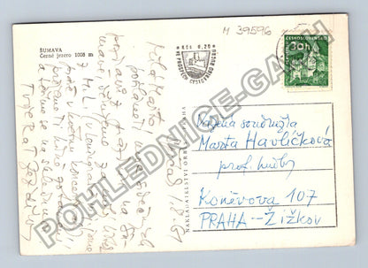 Pohlednice Šumava Černé jezero 1008 m 1967 (M39596)