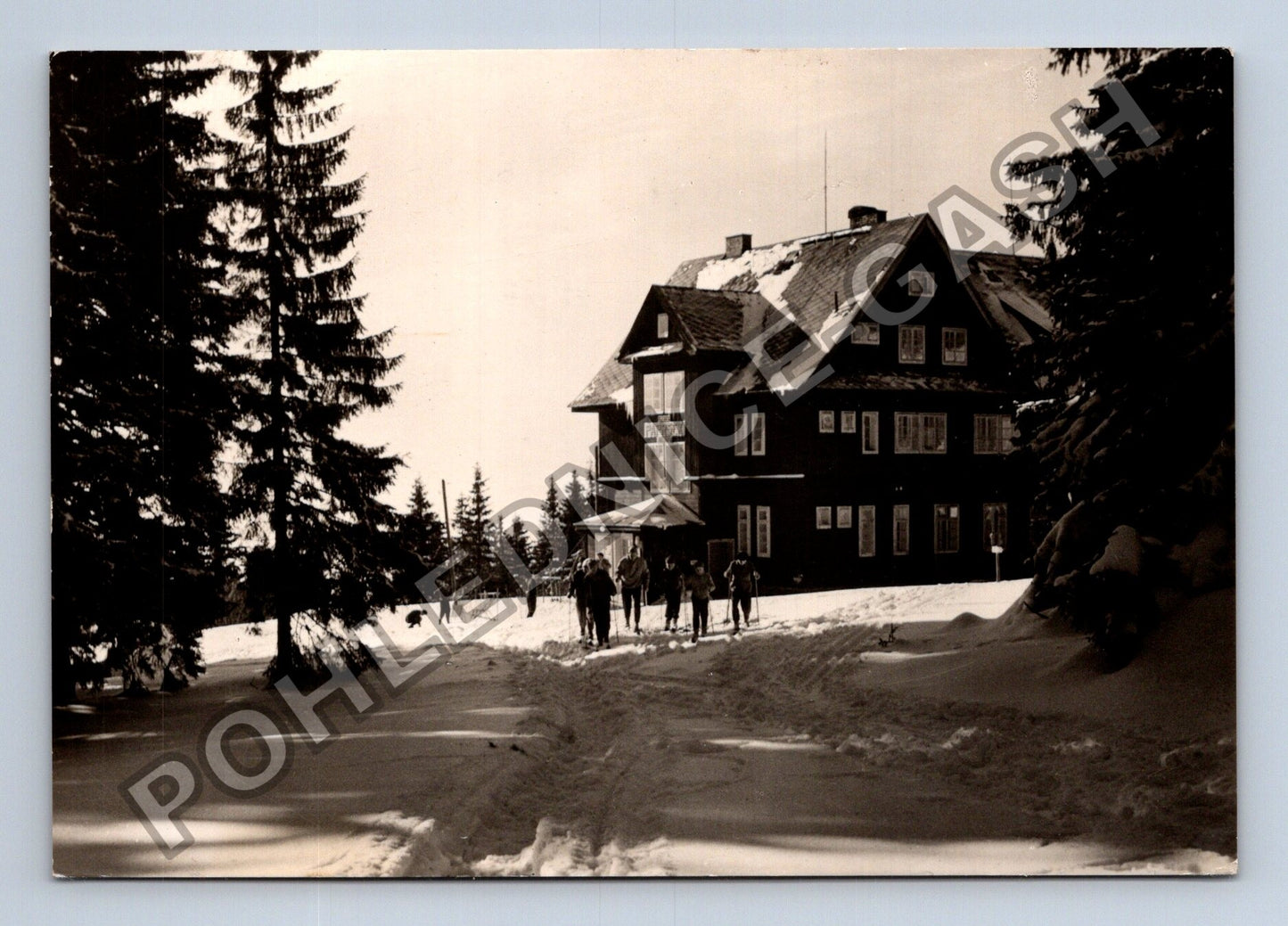 Pohlednice JESENÍKY Chata Paprsek Rychlebské hory (M39603)