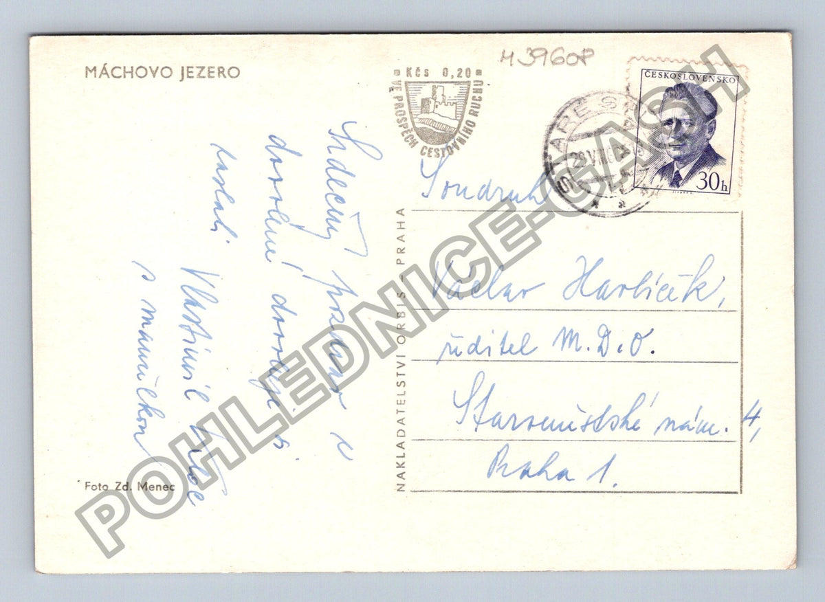Pohlednice Máchovo jezero (M39608)