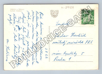 Pohlednice Chlum u Třeboně Rybník Hejtman 1962 (M39611)