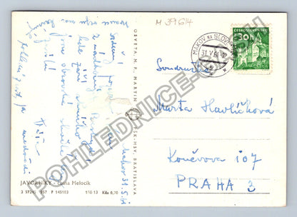 Pohlednice Javorníky chata Melocik 1961 (M39614)