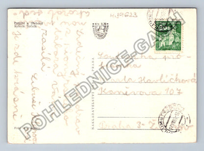 Pohlednice Chlum u Třeboně rybník Točník (M39623)