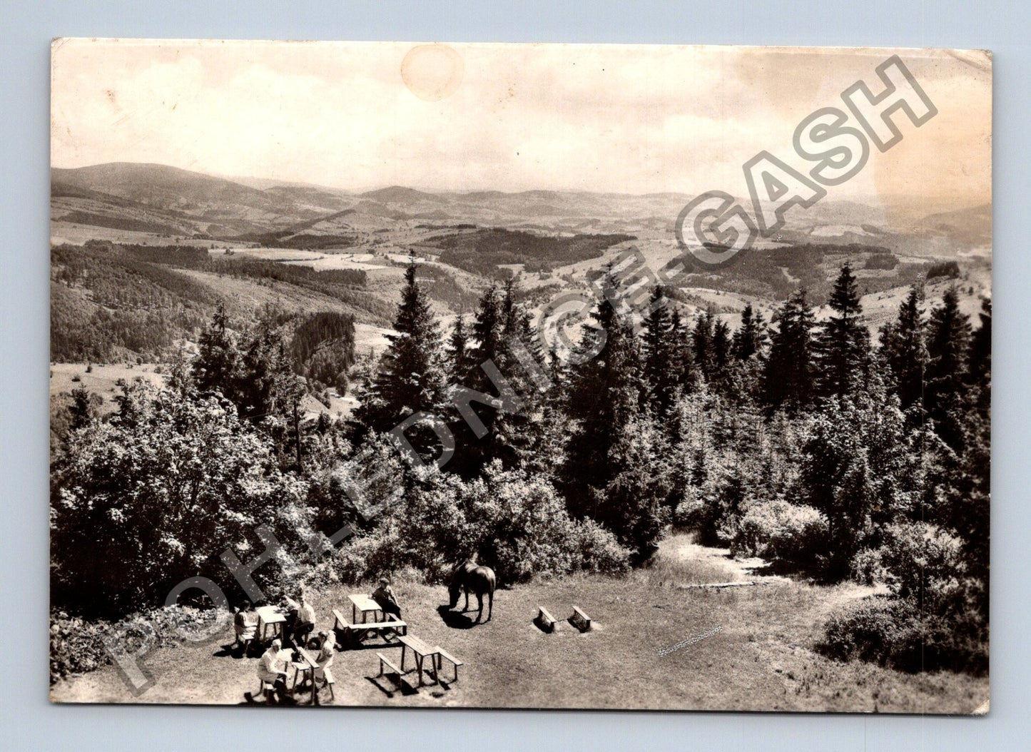 Pohlednice Jeseniky Velké Vrbno výhled od chaty PAPRSEK (M39626)