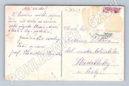 Pohlednice Praha mostecká věž a pomník Karla IV Šetelík (M3963)