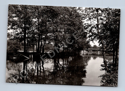 Pohlednice Horšovský Týn řeka Radbuza most (M39636)