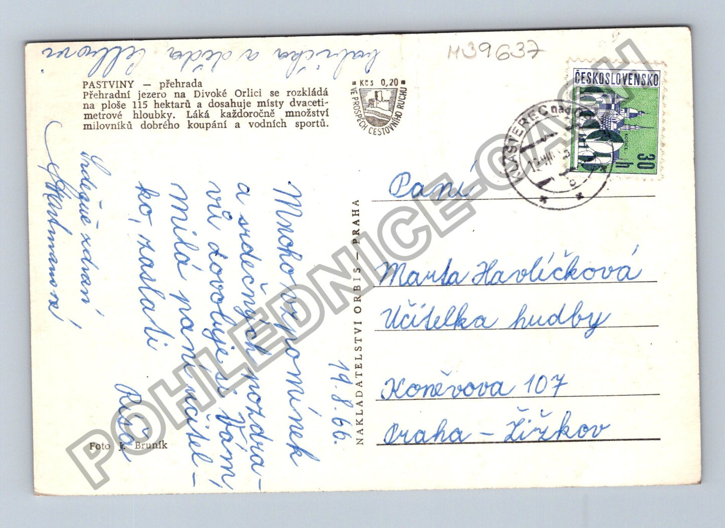 Pohlednice Pastviny přehrada 1966 (M39637)