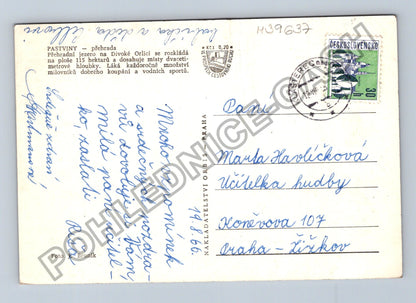 Pohlednice Pastviny přehrada 1966 (M39637)