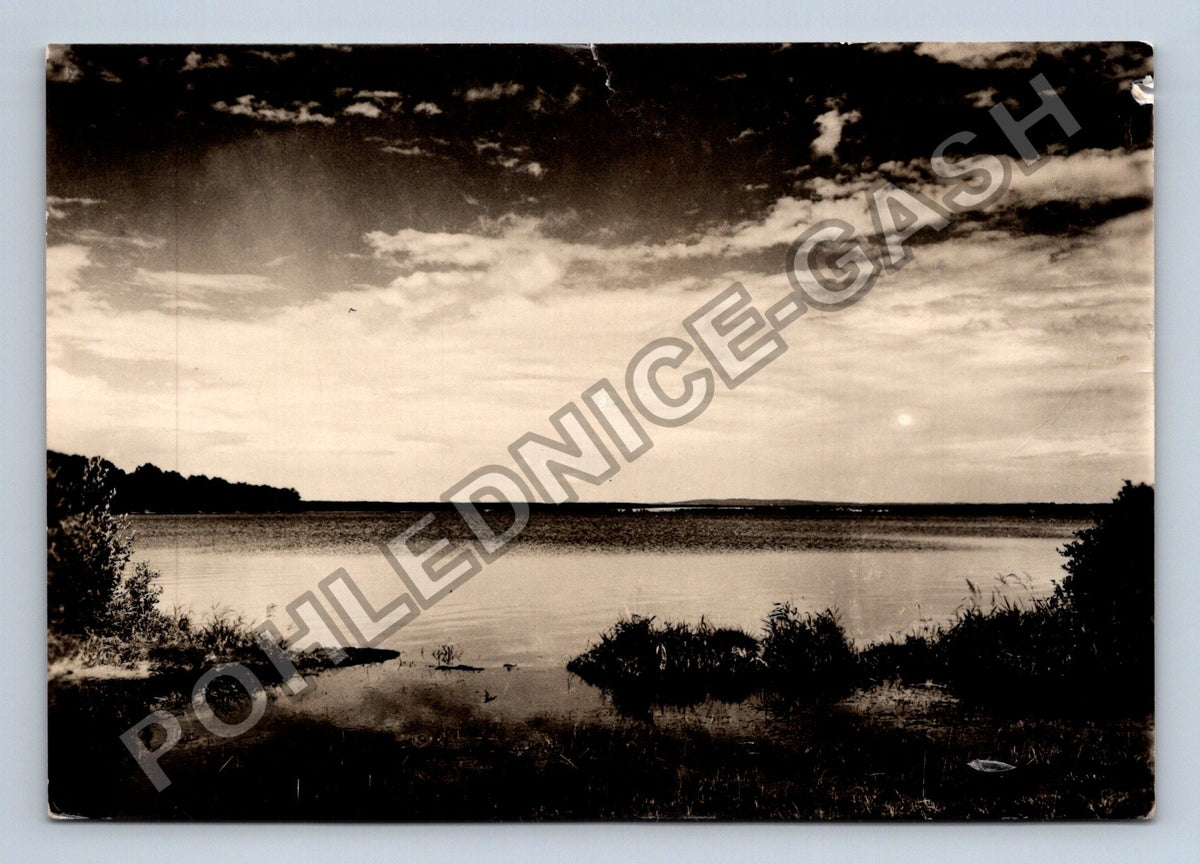 Pohlednice Třeboň rybník Rožmberk (M39639)