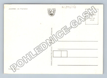 Pohlednice Javorník Šumava rozhledna hotely (M39677)