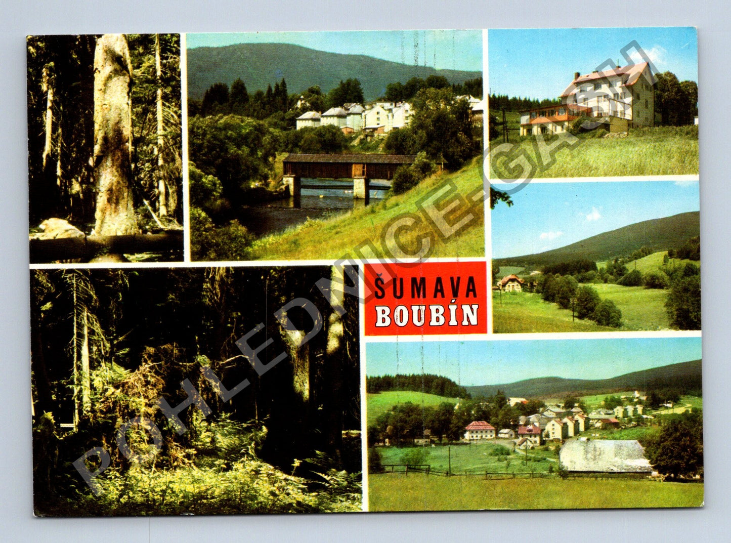 Pohlednice Šumava Boubín Boubínský prales Lenora Kubova Huť (M39737)