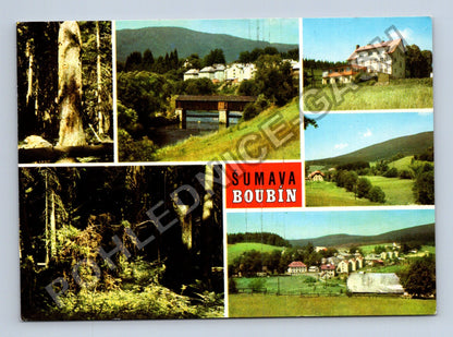 Pohlednice Šumava Boubín Boubínský prales Lenora Kubova Huť (M39737)