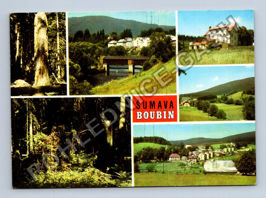 Pohlednice Šumava Boubín Boubínský prales Lenora Kubova Huť (M39737)