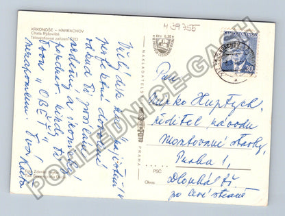 Pohlednice Krkonoše Harrachov Chata Ryžoviště zimní (M39755)