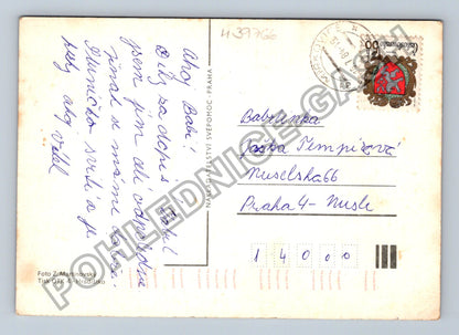 Pohlednice Krajina s rozkvetlými diviznami (M39766)
