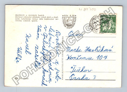 Pohlednice Olešnice v Orlických horách zimní krajina (M39780)