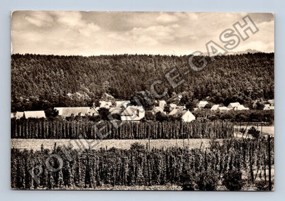 Pohlednice Deštnice u Podbořan chmelnice vesnice (M39792)