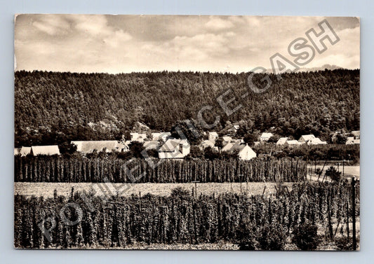Pohlednice Deštnice u Podbořan chmelnice vesnice (M39792)