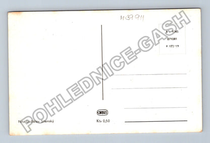 Pohlednice Zasněžené vrcholky hor lyžaři Šťastný Nový rok (M39911)