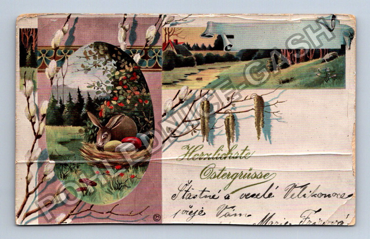 Pohlednice Velikonoční zajíc vajíčka vrba Teplitz-Schönau (M39916)