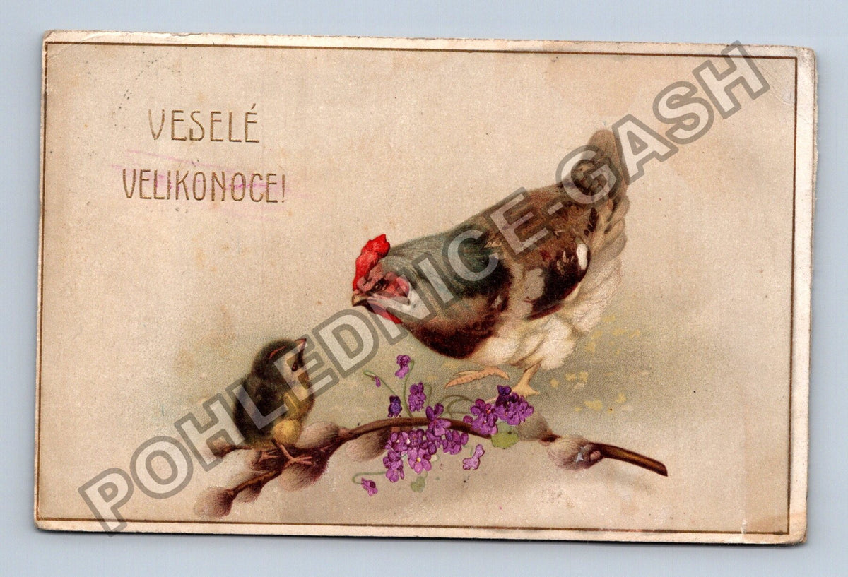 Pohlednice Velikonoce kuře slepice Felsenquelle (M39918)