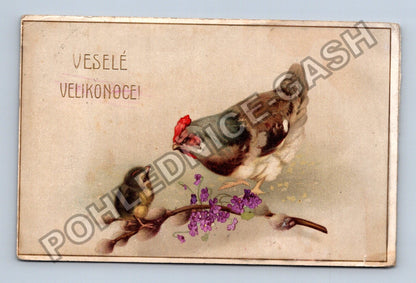 Pohlednice Velikonoce kuře slepice Felsenquelle (M39918)