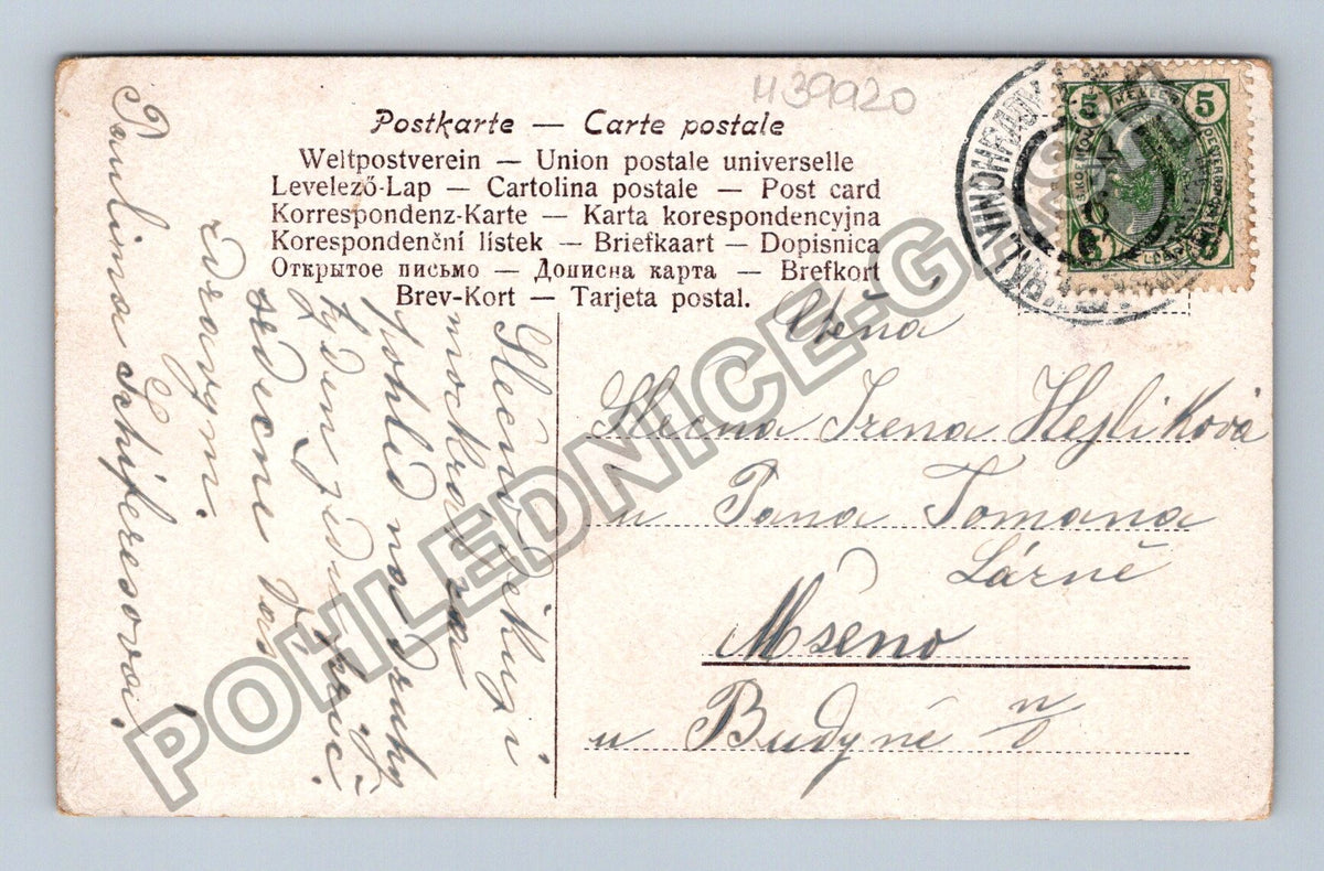 Pohlednice Kytice macešek (M39920)