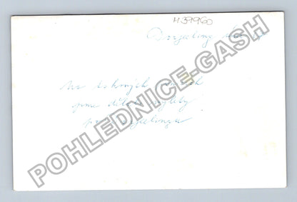 Stará fotografie Muž na koni Darjeeling Indie 1967 (M39960)