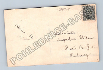 Pohlednice Belgie pes Bonne Année (M39968)