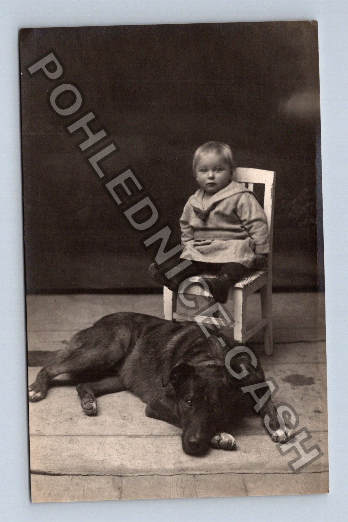 Dítě se psem ateliérová fotografie 1925 (M39970)