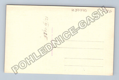 Dítě se psem ateliérová fotografie 1925 (M39970)