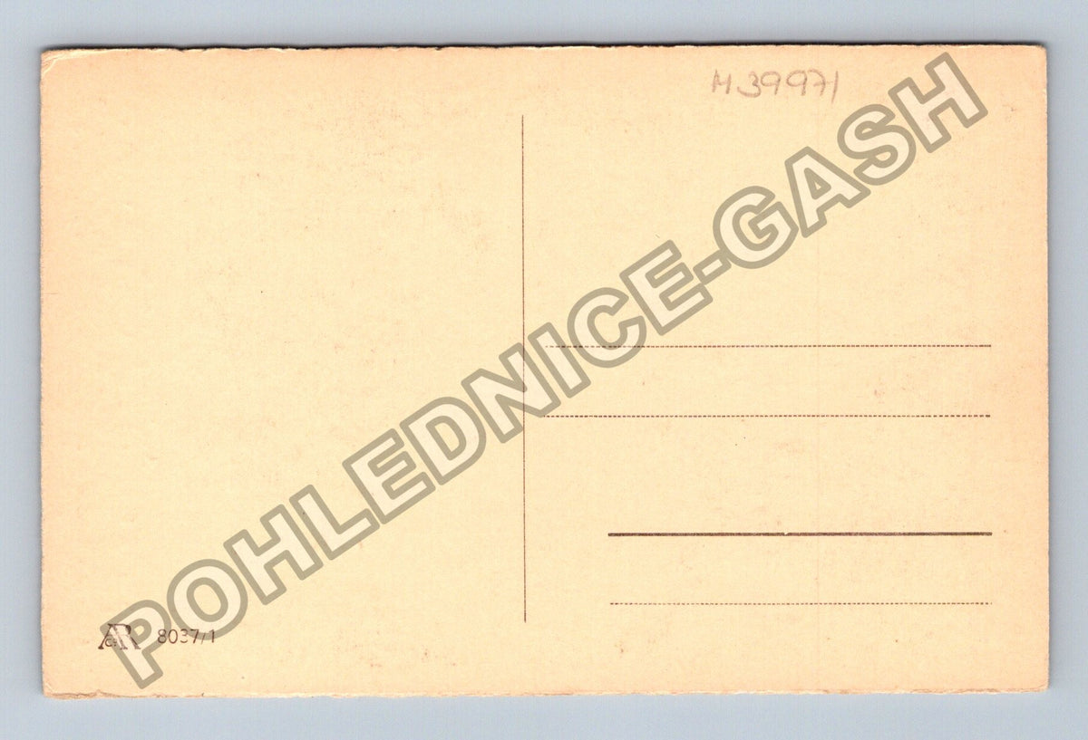 Pohlednice Belgie Verviers dva pudlové psi (M39971)